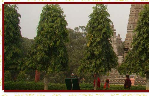 Mahabodhi Temple