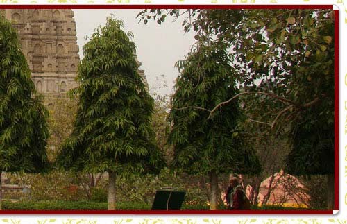 Bodhgaya Tour