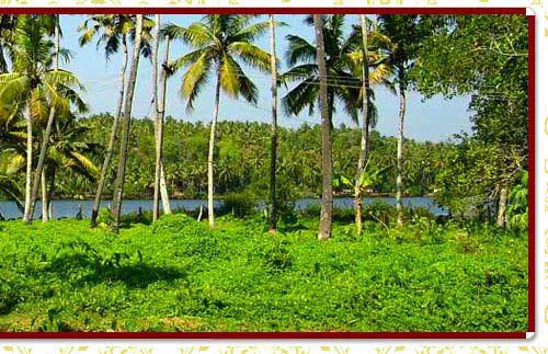 Kerala Backwaters