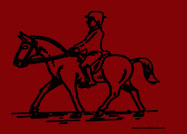 horse safari Rajasthan