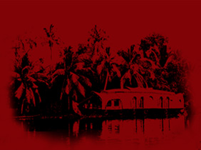 Backwaters of Kerala