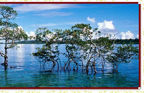 Lakshadweep Island