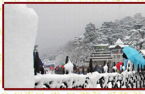 Shimla Tour Guide