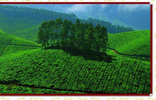 South India Tour Package